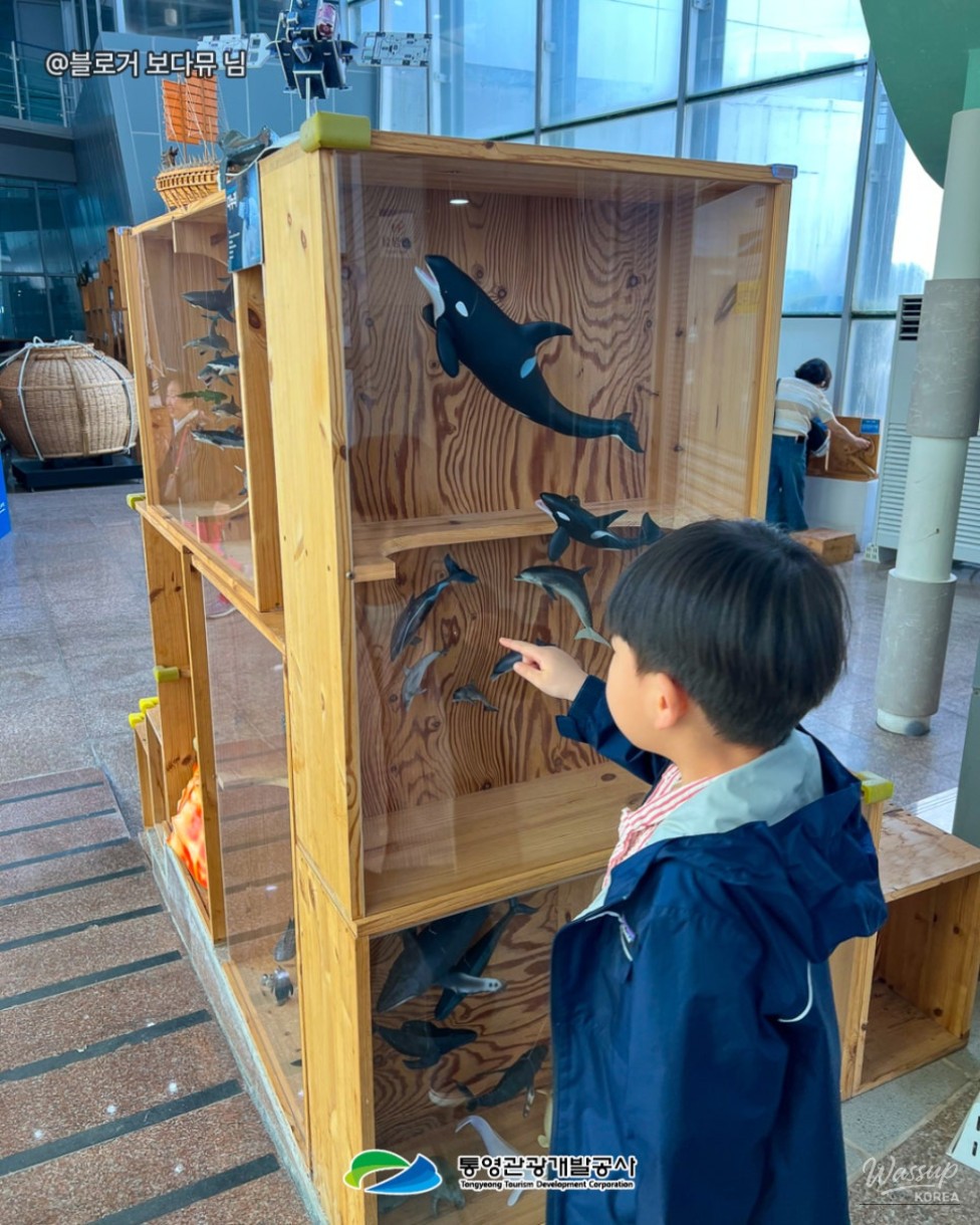 Family-Friendly Travel Guide to Tongyeong Fisheries Science Museum_07