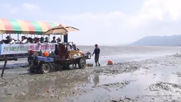 Experience the Splendor of Mandol Tidal Flat_02