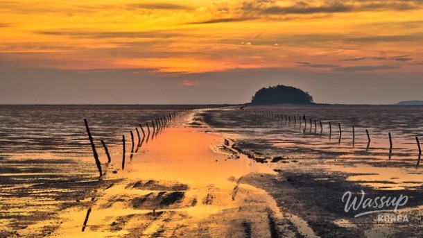Experience the Splendor of Mandol Tidal Flat_01
