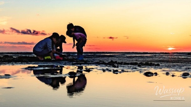 Experience the Splendor of Mandol Tidal Flat_03