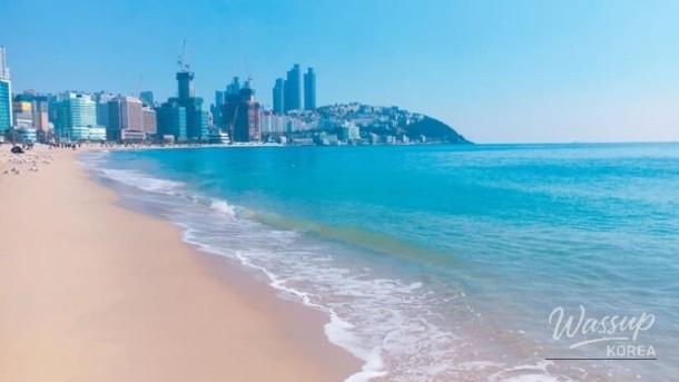Explore the Vibrant Summer in Busan: A Guide to Must-Visit Spots_02