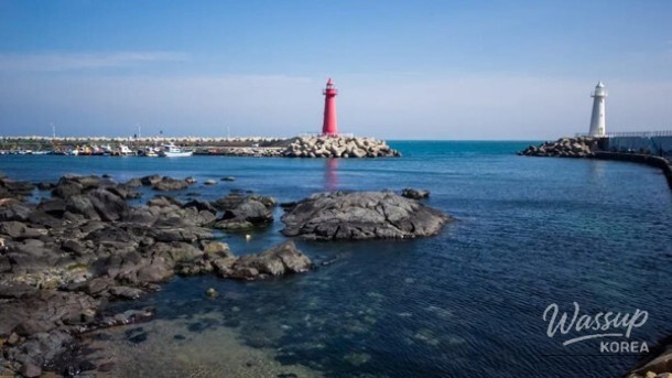 Explore the Vibrant Summer in Busan: A Guide to Must-Visit Spots_03