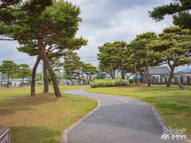 A Memorable Parent's Day in Hongseong, Chungcheongnam-do_08