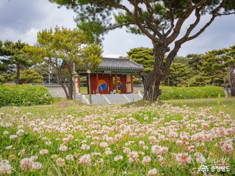 A Memorable Parent's Day in Hongseong, Chungcheongnam-do_05