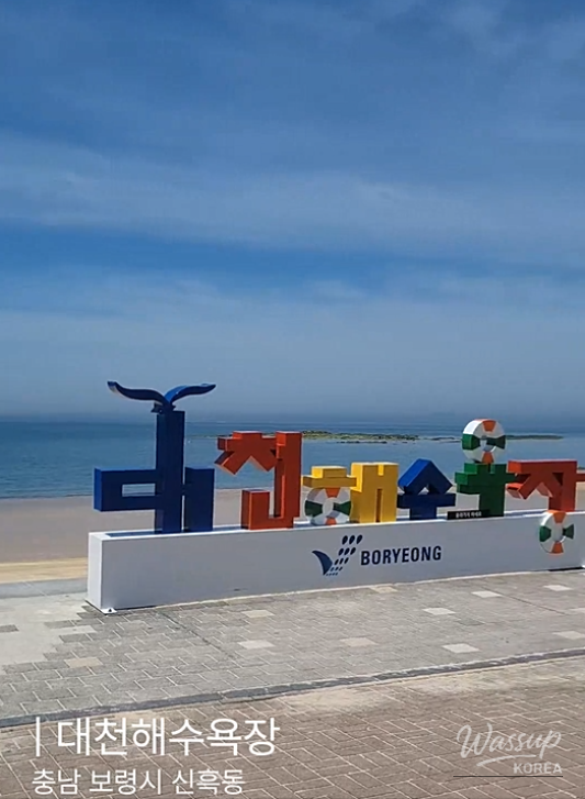 Exploring Boryeong Daecheon Beach_03