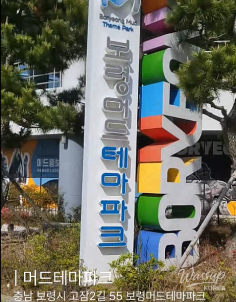 Exploring Boryeong Daecheon Beach_06