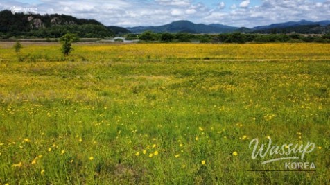 Recommended Travel Destinations in Buyeo_10
