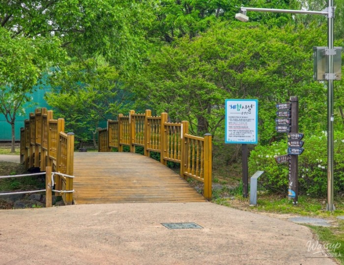 Experience the Upo Wetland: A Family Adventure float
