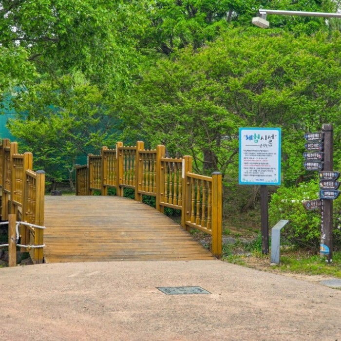 Experience the Upo Wetland: A Family Adventure_01