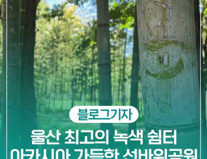 Discovering Sunbawi Park: A Hidden Gem in Ulsan float