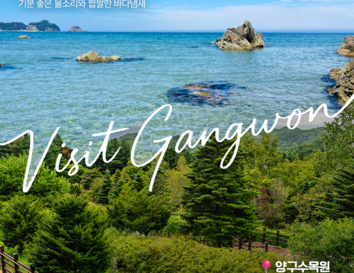 Healing Journeys in Gangwon Province float