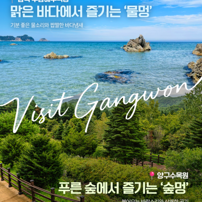 Healing Journeys in Gangwon Province3886