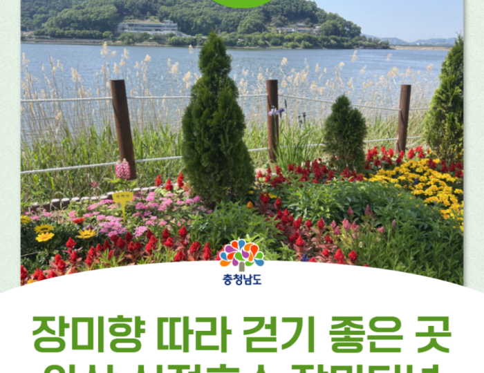 Exploring the Beauty of Asan's Shinjeong Lake Rose Garden in May float