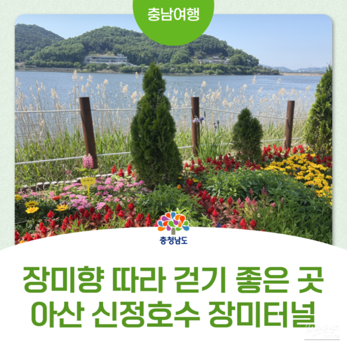 Exploring the Beauty of Asan