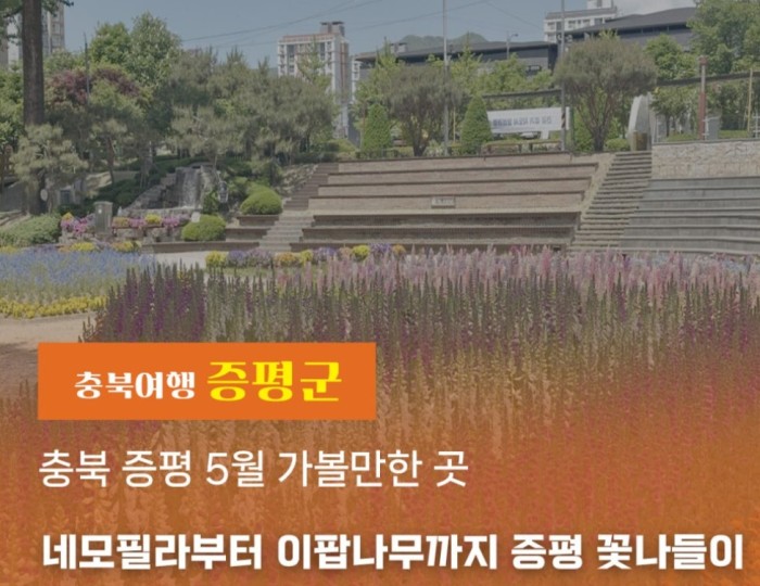 Spring Blooms in Jeungpyeong, Chungbuk: Must-Visit Spots in May float