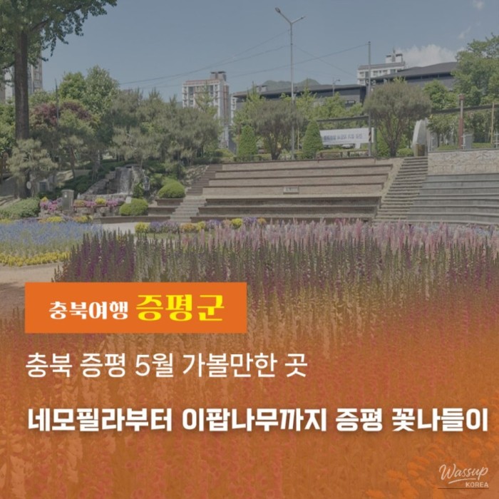 Spring Blooms in Jeungpyeong, Chungbuk: Must-Visit Spots in May_01