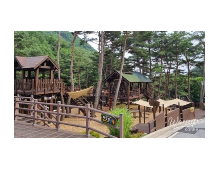 Experience the Thrill of Healing Land in Geochang float