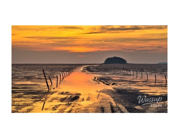 Experience the Splendor of Mandol Tidal Flat float