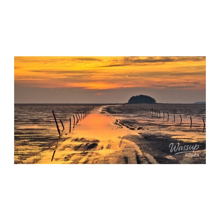 Experience the Splendor of Mandol Tidal Flat_01