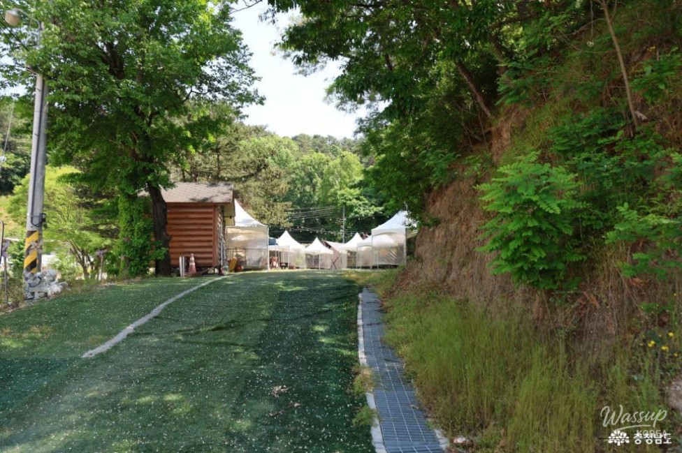 Exploring Nonsan: A Perfect Workation Destination_04