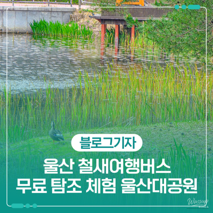 Exploring Ulsan