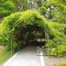 A Relaxing Getaway at Goyang Picnic Citizen Park_03