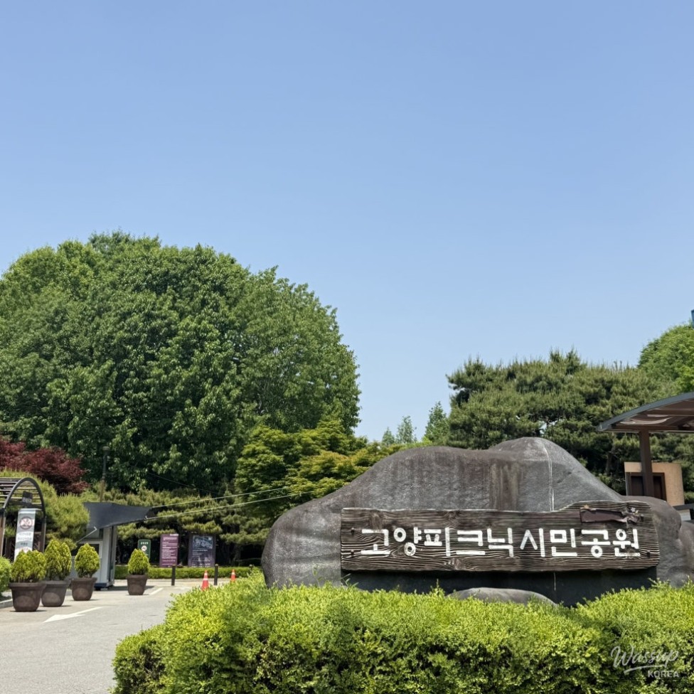 A Relaxing Getaway at Goyang Picnic Citizen Park_02