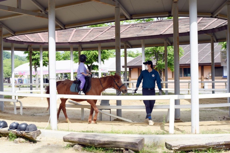 Experience the Equestrian Culture of Daegaya in 2026_04