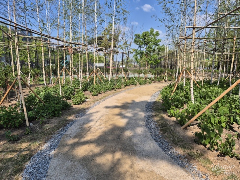 Revitalizing Urban Healing Spaces in Goyang City_07