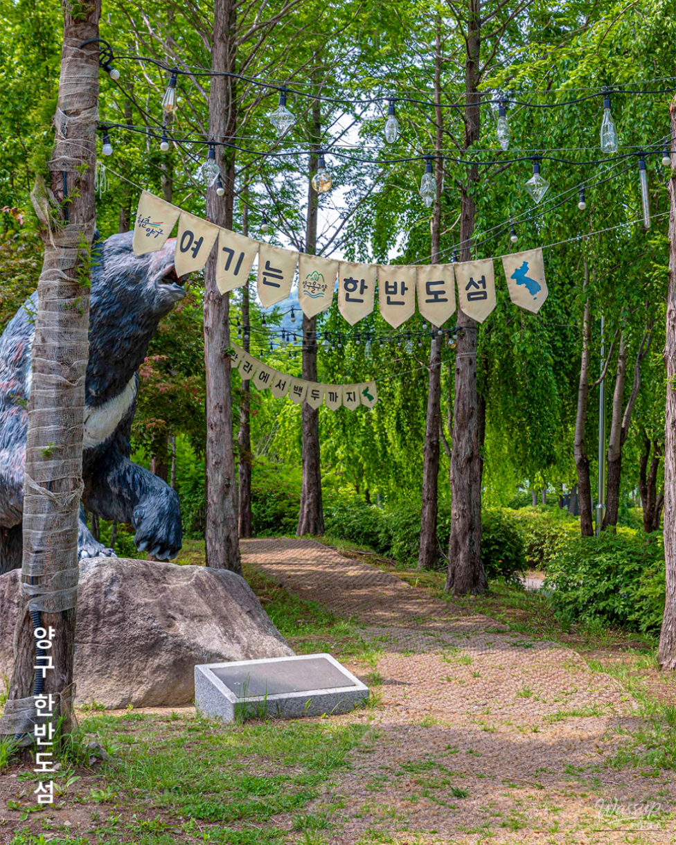 Discovering the Beauty of Hanbando Island in Yanggu_03