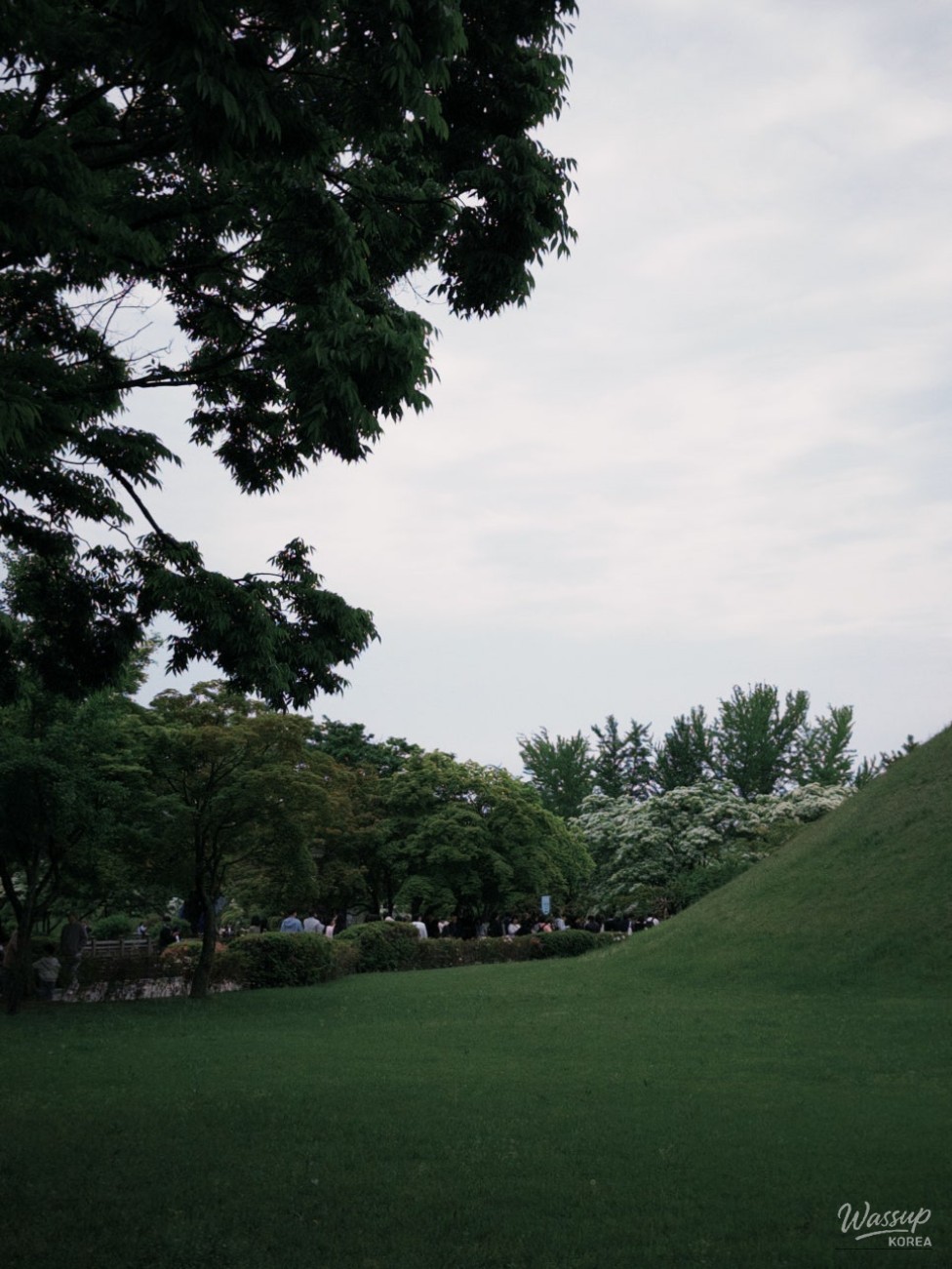 A Family Trip to Gyeongju in May_06