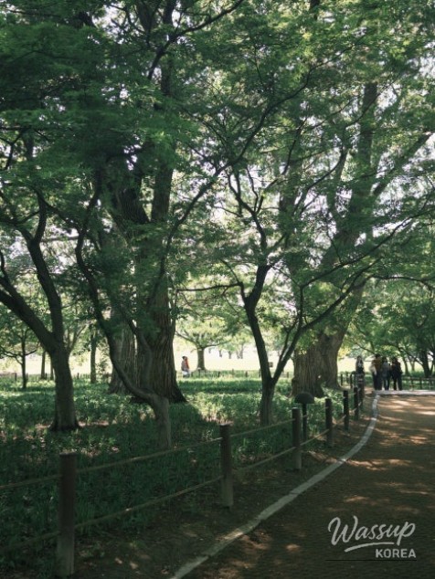 A Family Trip to Gyeongju in May_05