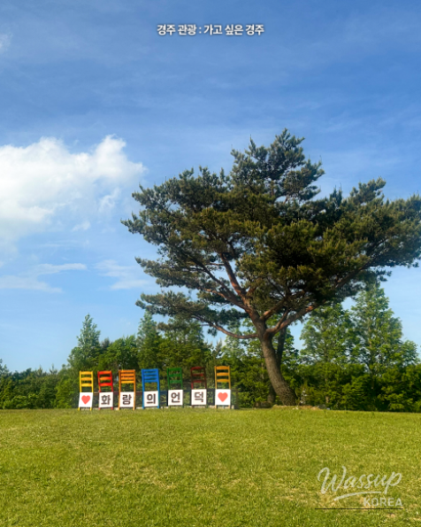 Healing Journey at Hwarang Hill in Gyeongju_04