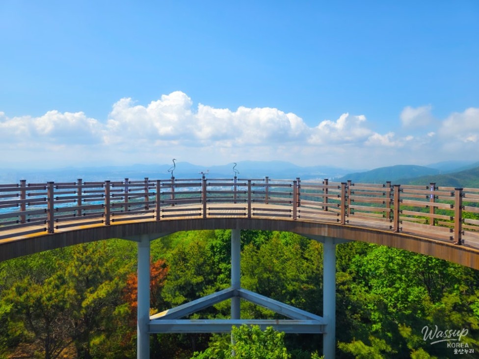 Discovering Yeompo Observatory in Ulsan_08