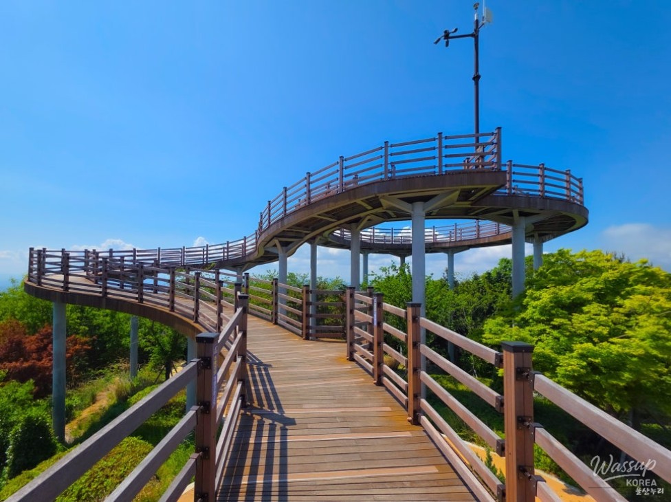 Discovering Yeompo Observatory in Ulsan_05