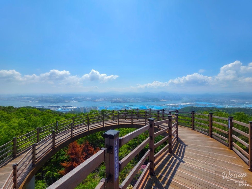 Discovering Yeompo Observatory in Ulsan_07