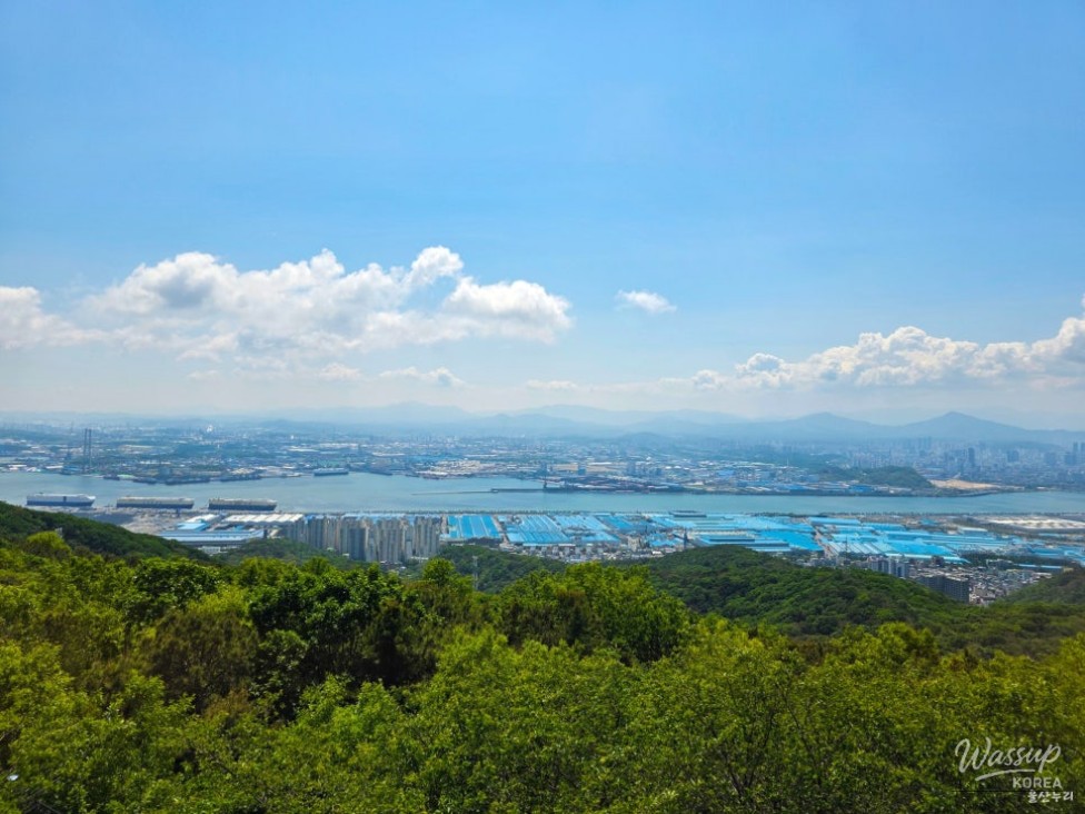 Discovering Yeompo Observatory in Ulsan_10