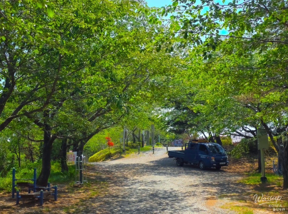 Discovering Yeompo Observatory in Ulsan_03