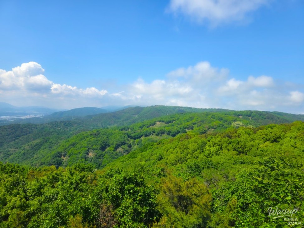Discovering Yeompo Observatory in Ulsan_13