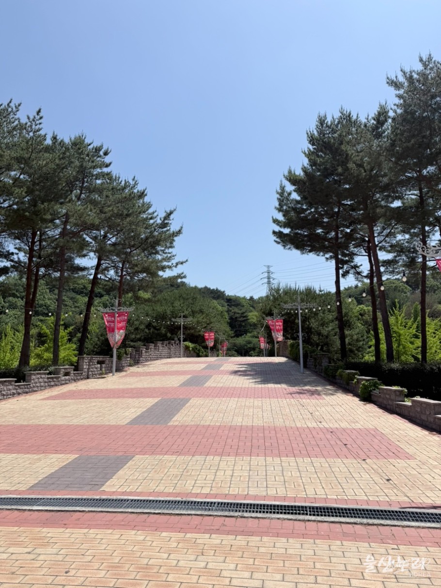 Experience the Beauty of Ulsan's Rose Festival_04