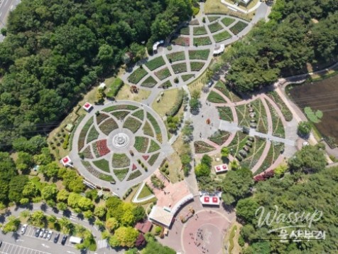 Experience the Beauty of Ulsan's Rose Festival_02