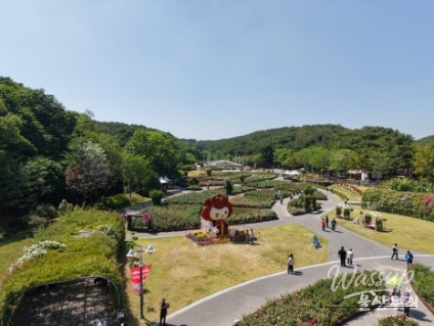 Experience the Beauty of Ulsan's Rose Festival_03