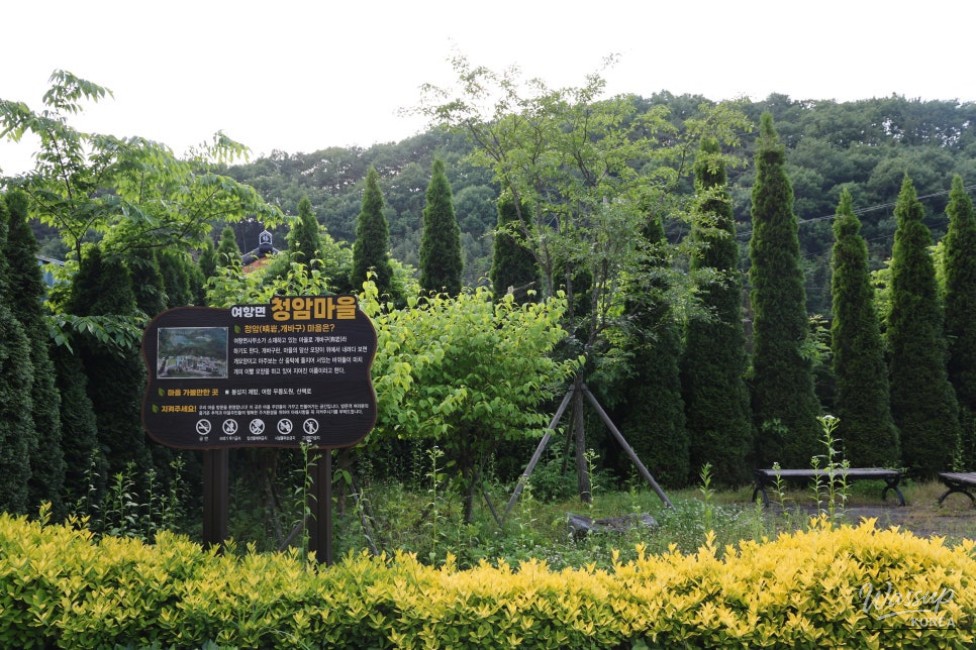 Exploring Cheongam Village in May_07