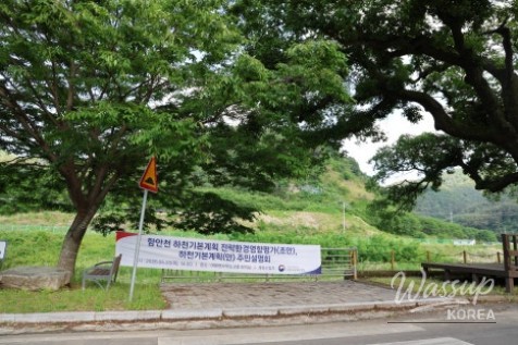 Exploring Cheongam Village in May_05