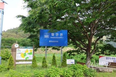 Exploring Cheongam Village in May_04