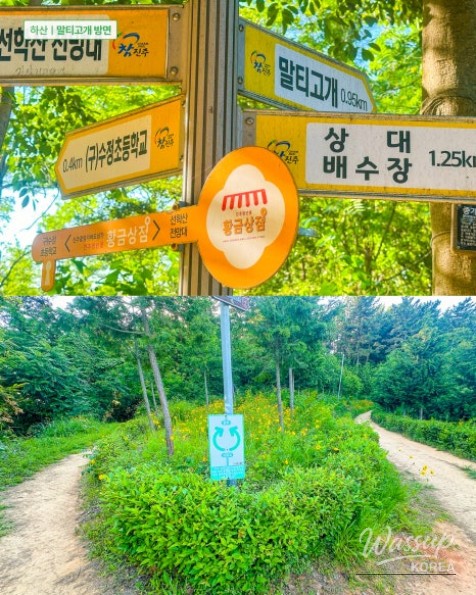 Recommended Beginner Hiking Course: Hidden Gem of Seonhak Mountain in Jinju, Gyeongnam_15