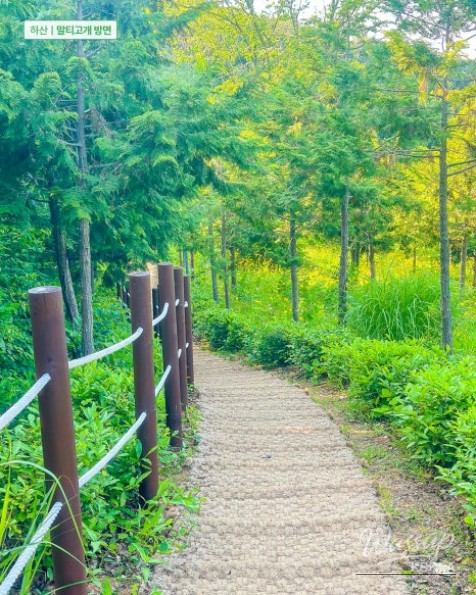 Recommended Beginner Hiking Course: Hidden Gem of Seonhak Mountain in Jinju, Gyeongnam_14