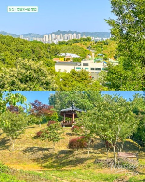 Recommended Beginner Hiking Course: Hidden Gem of Seonhak Mountain in Jinju, Gyeongnam_08