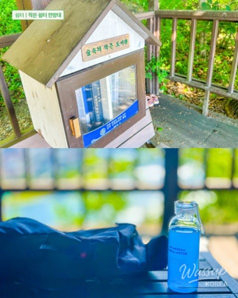 Recommended Beginner Hiking Course: Hidden Gem of Seonhak Mountain in Jinju, Gyeongnam_06