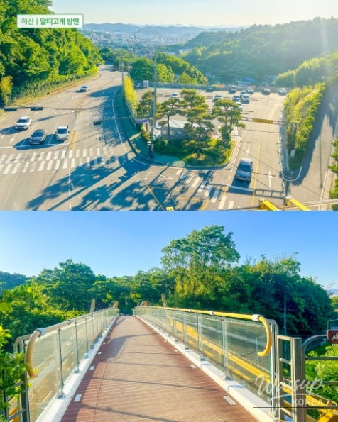Recommended Beginner Hiking Course: Hidden Gem of Seonhak Mountain in Jinju, Gyeongnam_13